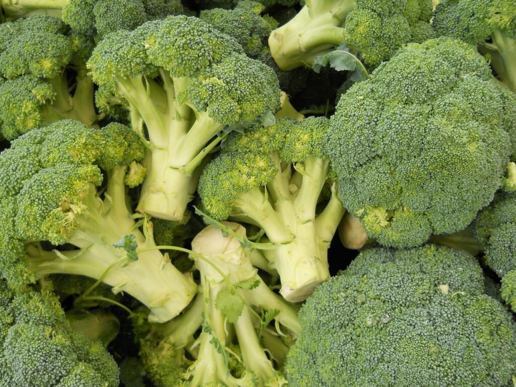 Fresh Broccoli